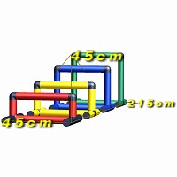 Move and Stic hurdle course for dogs Benetton 1