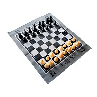 Outdoor game of chess, chess garden with 32 chess figures , big chess play, big playing field mat with chessboard pattern  
