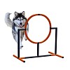 Move and Stic Agility dog jumping ring 35 cm Orange/Titangrau