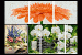 Flowers Flowers